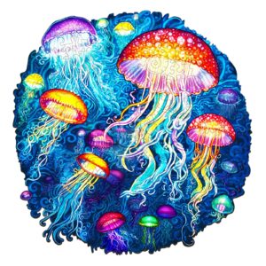 Read more about the article Wooden Jigsaw Puzzle-colorful jellyfish 66d115c5dfde3