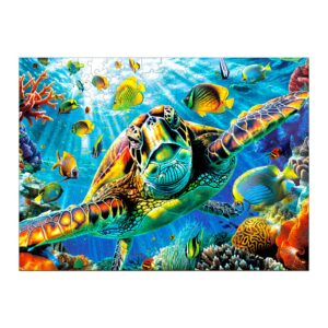 Read more about the article Wooden Jigsaw Puzzle-Turtle Explorer 66dc9b74decd7